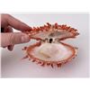 Image 3 : Spiny Oyster Sea Shell