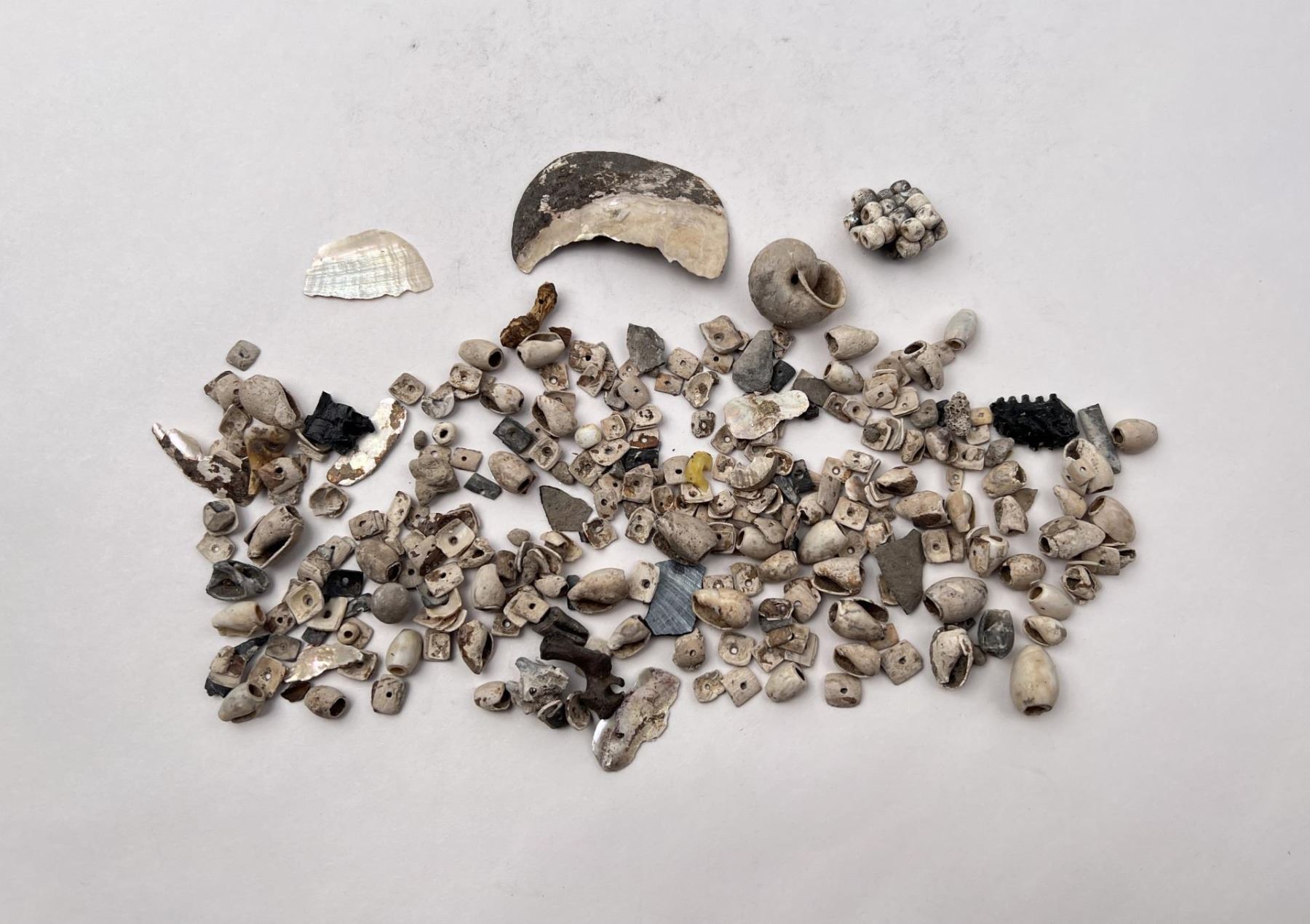 Ancient Plateau Indian Shell Trade Beads