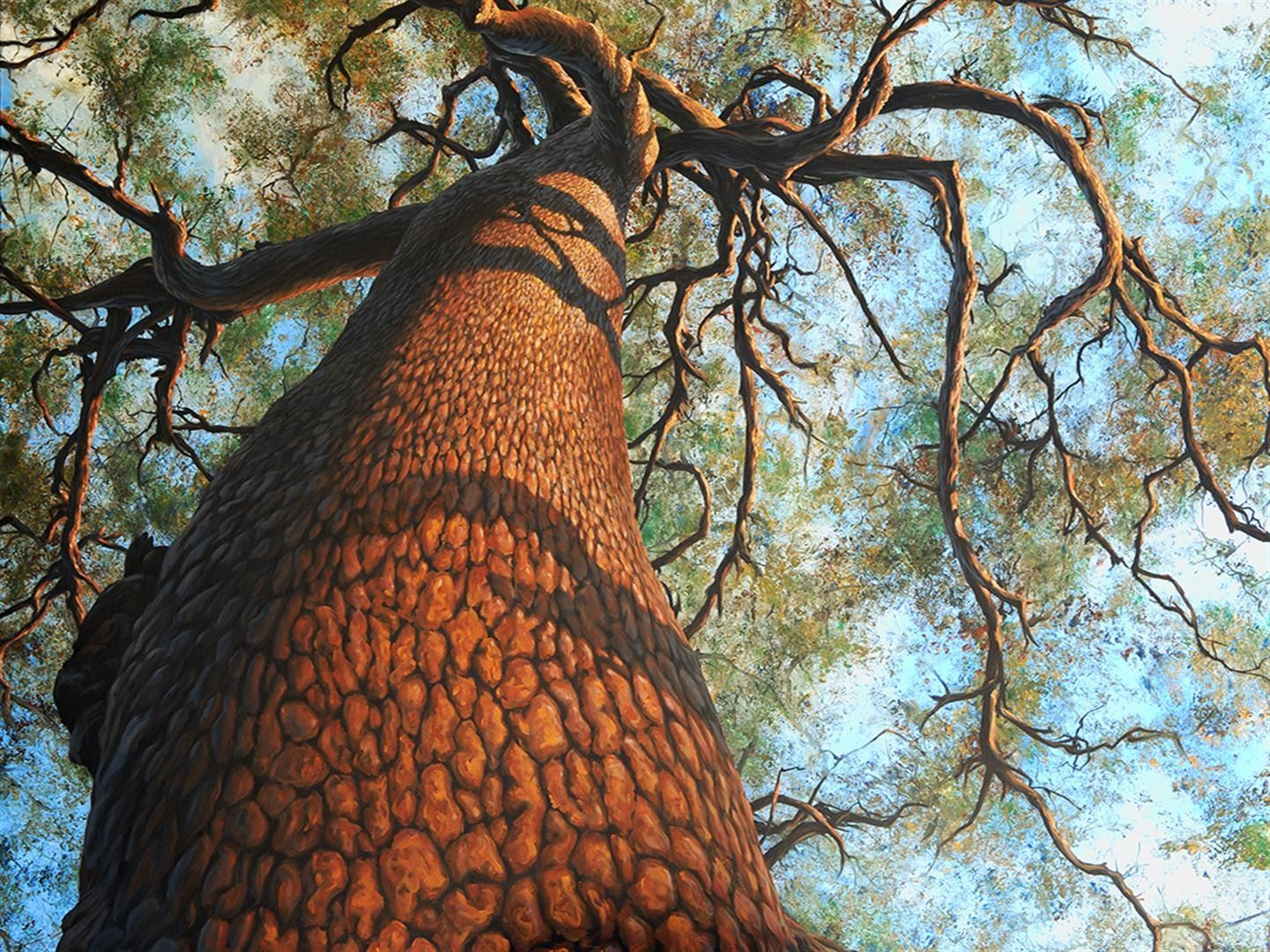 Brdag Tree Bragg