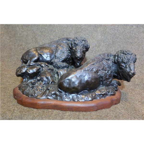 Buffalo (American Bison)