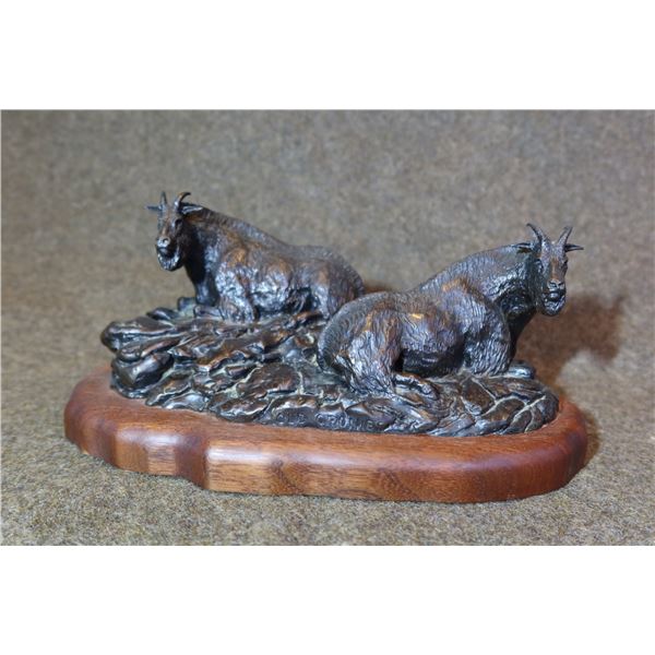 Rocky Mountain Goats