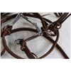 Image 3 : Bridle