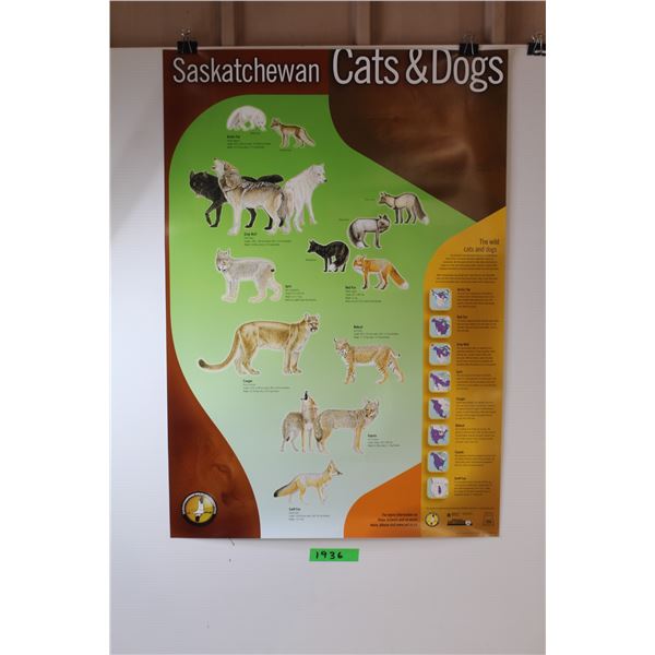 (4) Saskatchewan Wildlife Posters - Sport Fishing / Cats / Snakes Posters