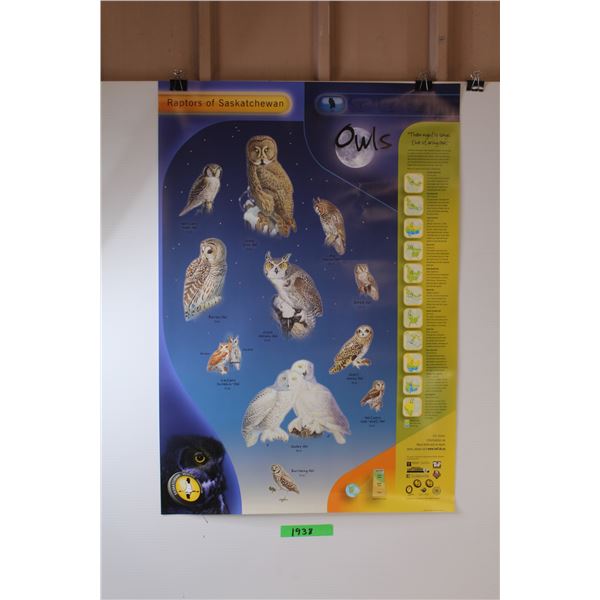 (4)  Saskatchewan Wildlife Posters -  Fish / Weasels / Hawks & Owls Posters