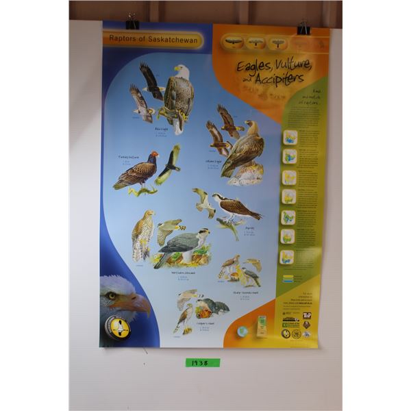 (4)  Saskatchewan Wildlife Posters -  Eagles / Falcons / Shorebirds Posters