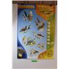 Image 1 : (4)  Saskatchewan Wildlife Posters -  Eagles / Falcons / Shorebirds Posters