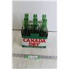 Image 1 : 6-Pack Glass Canada Dry Bottles