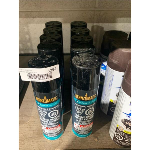 Bernzomatic Butane Odorized 160g x 10