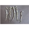 Image 2 : OSSEMENTS (ACCESSOIRES DE DRAME POLICIER)