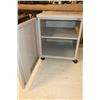 Image 2 : CABINET MOBILE EN MÉTAL 20"x20"x25"