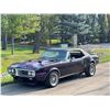 Image 3 : 1967 PONTIAC FIREBIRD 400 CONVERTIBLE