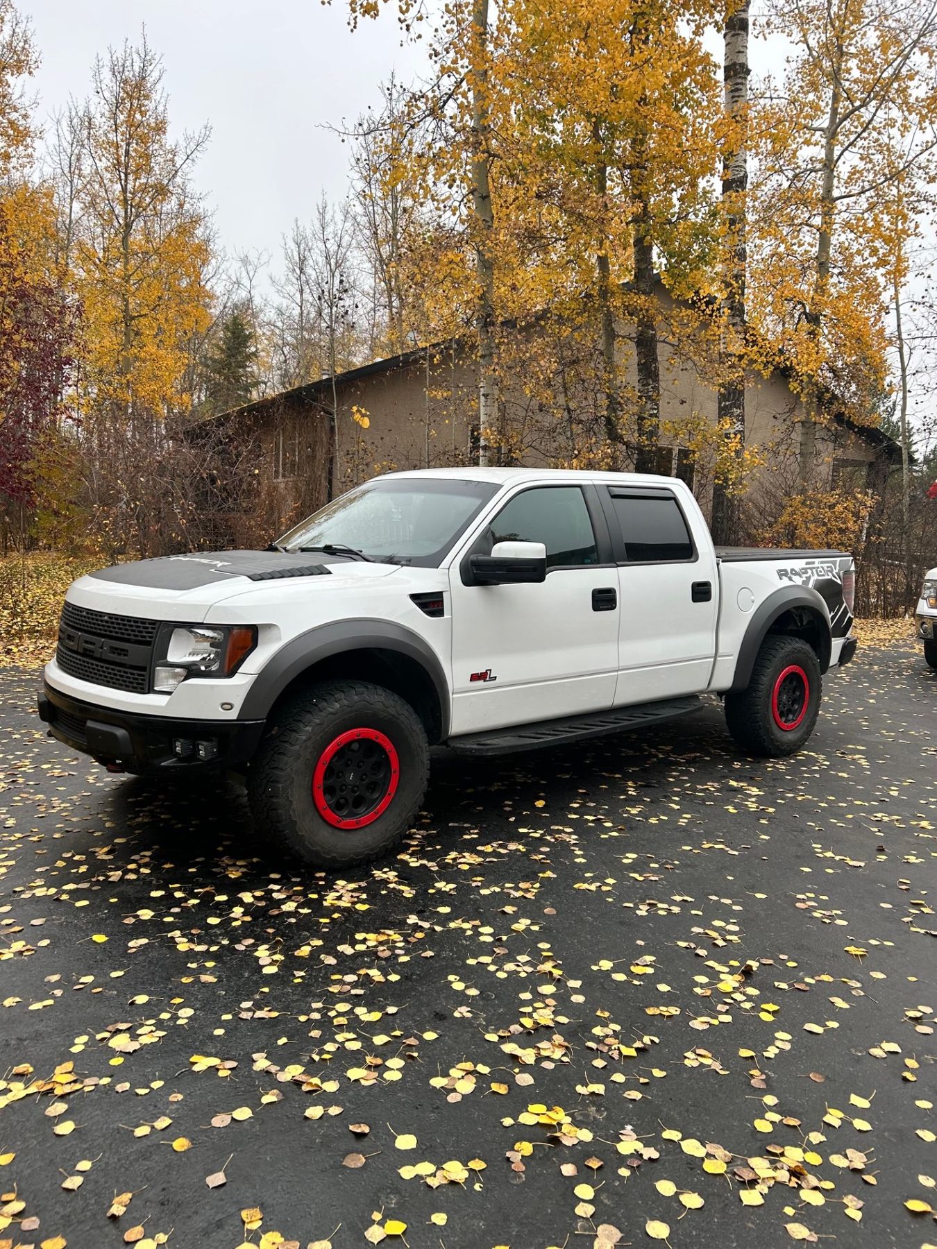 Ford Raptor R 2011 2011 FORD RAPTOR