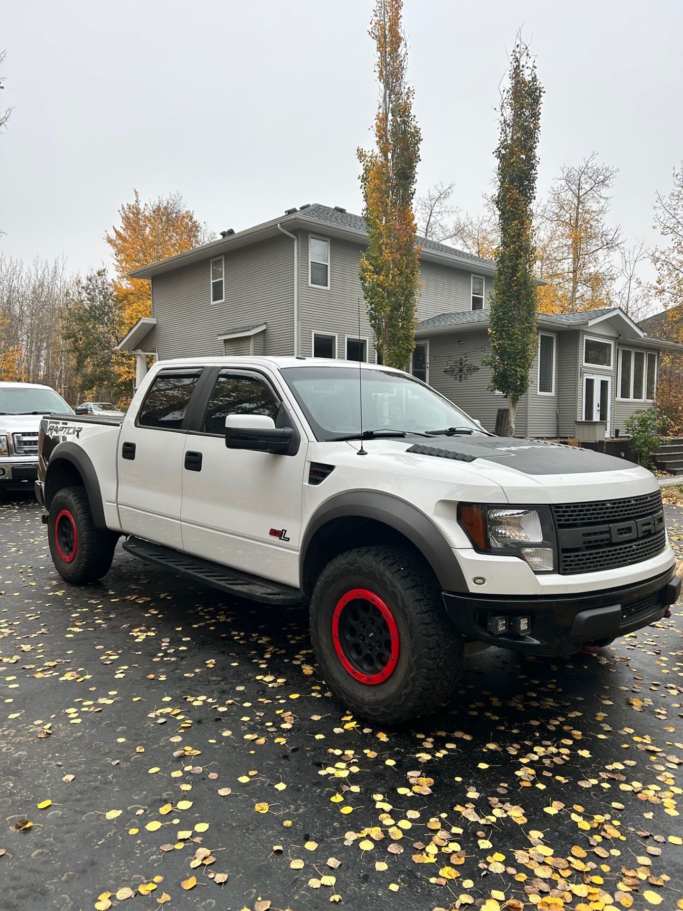 Ford Raptor R 2011 2011 FORD RAPTOR