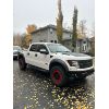 Image 2 : 2011 FORD RAPTOR