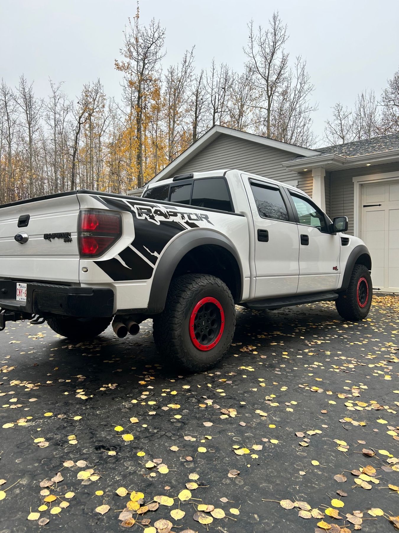 Ford Raptor R 2011 2011 FORD RAPTOR