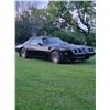 Image 2 : 1981 PONTIAC TURBO TRANS AM 