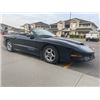 Image 2 : 1997 PONTIAC TRANS AM WS6 CONVERTIBLE