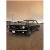 Image 3 : 1965 FORD MUSTANG