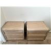 Image 1 : 2 Bedside Tables with Drawers