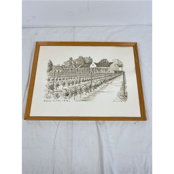 Framed Print " Simonsig - The Collars on De Hoop"