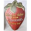 Image 3 : 2 Tin Strawberry Signs