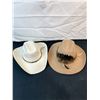 Image 1 : Biltmore Western Men's Hat Size 7 3/8 & Bangora Limited Edition Hat Size 20X