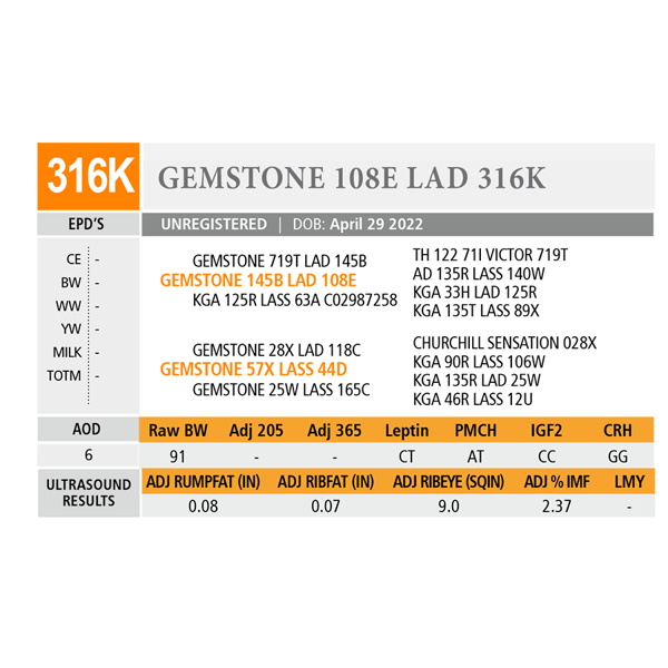 GEMSTONE 108E LAD 316K