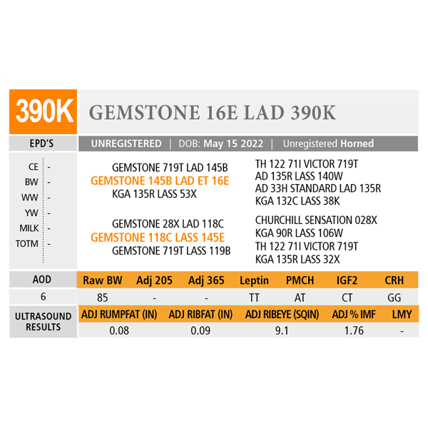 GEMSTONE 16E LAD 390K