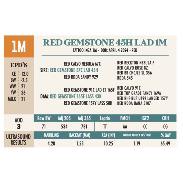 RED GEMSTONE 45H LAD 1M