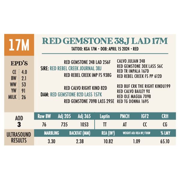 OUT - RED GEMSTONE 38J LAD 17M