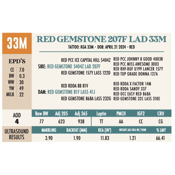 RED GEMSTONE 207F LAD 33M