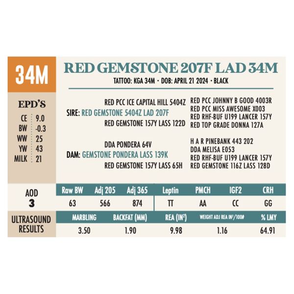 RED GEMSTONE 207F LAD 34M