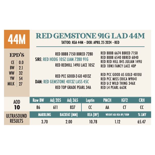 RED GEMSTONE 91G LAD 44M