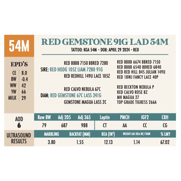 RED GEMSTONE 91G LAD 54M