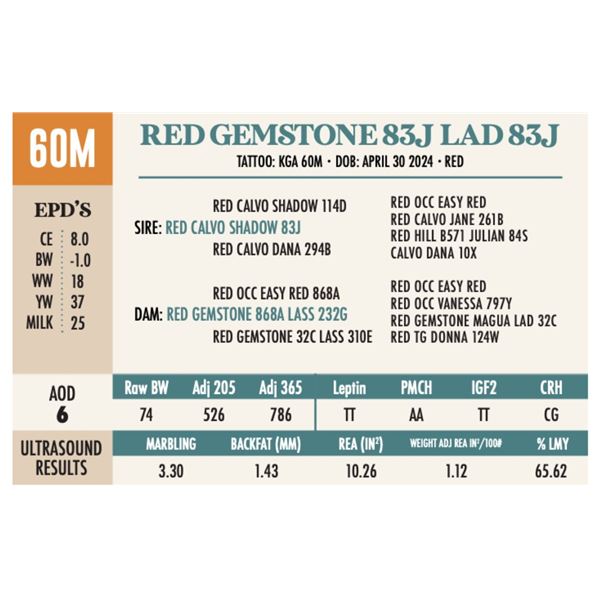 RED GEMSTONE 83J LAD 83J