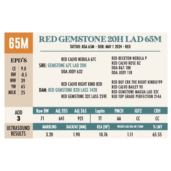 RED GEMSTONE 20H LAD 65M