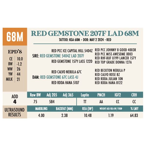 RED GEMSTONE 207F LAD 68M