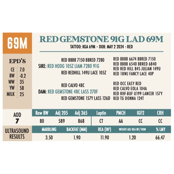 RED GEMSTONE 91G LAD 69M