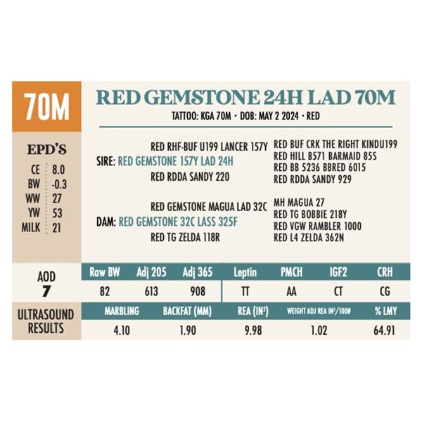 RED GEMSTONE 24H LAD 70M