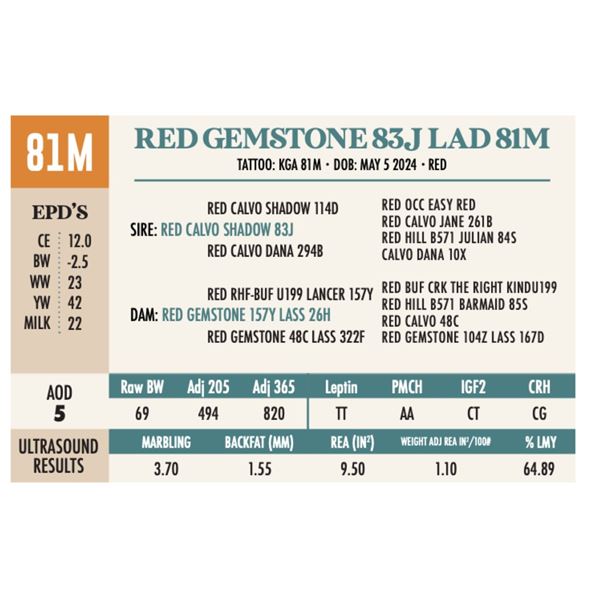 RED GEMSTONE 83J LAD 81M