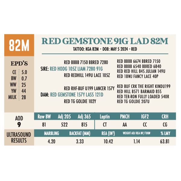 RED GEMSTONE 91G LAD 82M