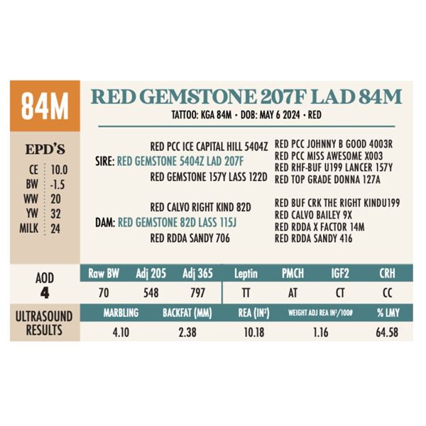 RED GEMSTONE 207F LAD 84M