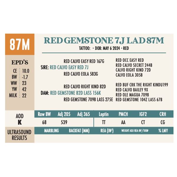 OUT - RED GEMSTONE 7J LAD 87M