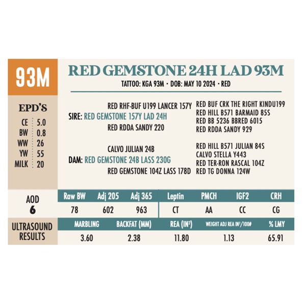 RED GEMSTONE 24H LAD 93M