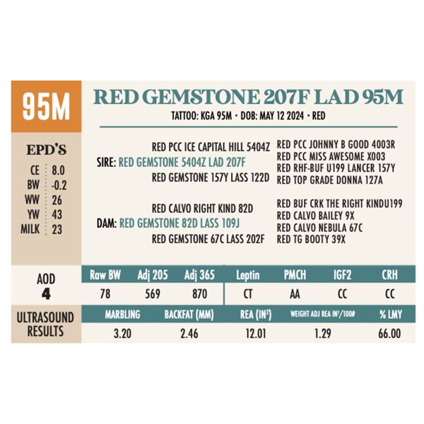 RED GEMSTONE 207F LAD 95M