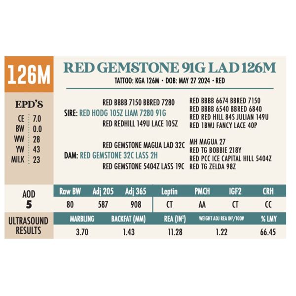 RED GEMSTONE 91G LAD 126M
