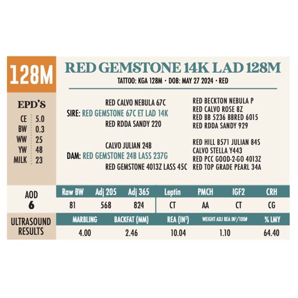RED GEMSTONE 14K LAD 128M