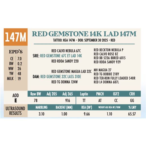 RED GEMSTONE 14K LAD 147M