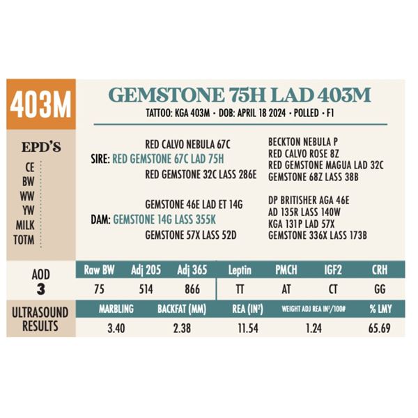 GEMSTONE 75H LAD 403M