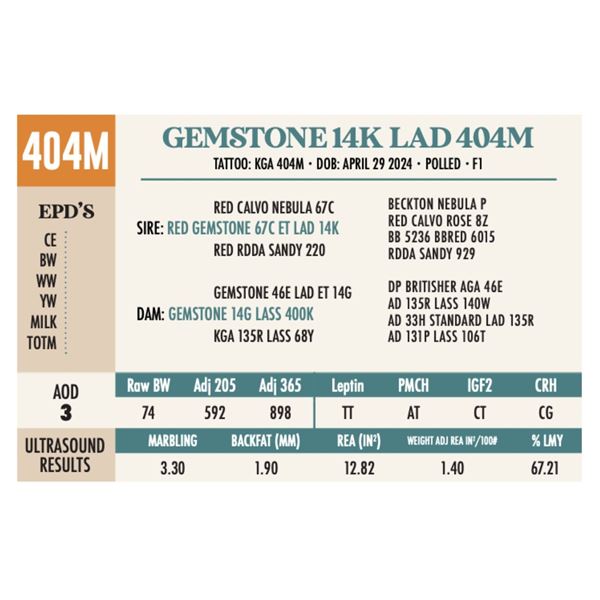 GEMSTONE 14K LAD 404M